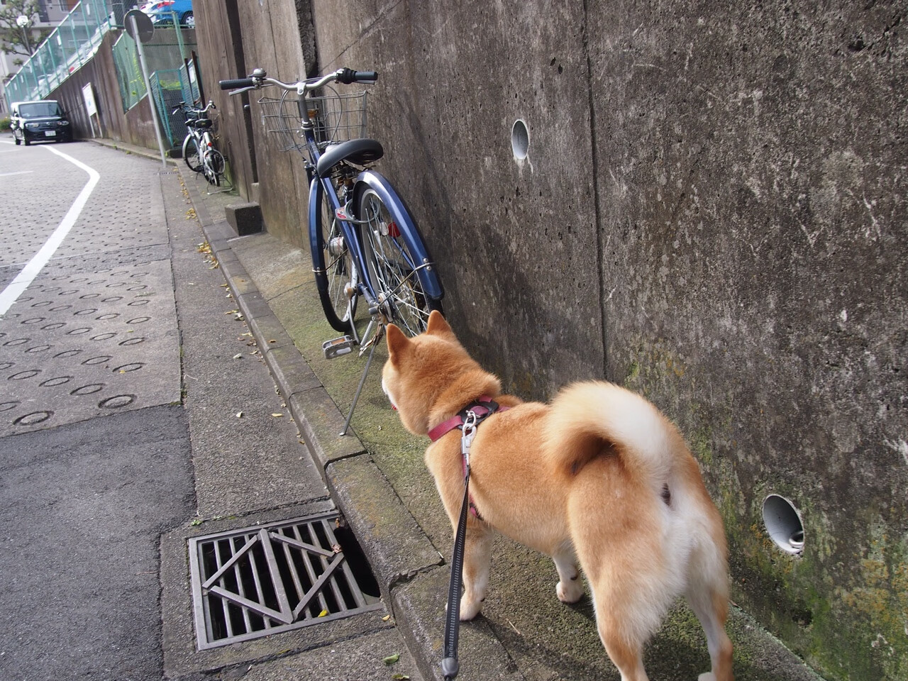 沉默指挥官，当孙铭徽在最后六分钟扛起步行者逆转青岛的整个天空