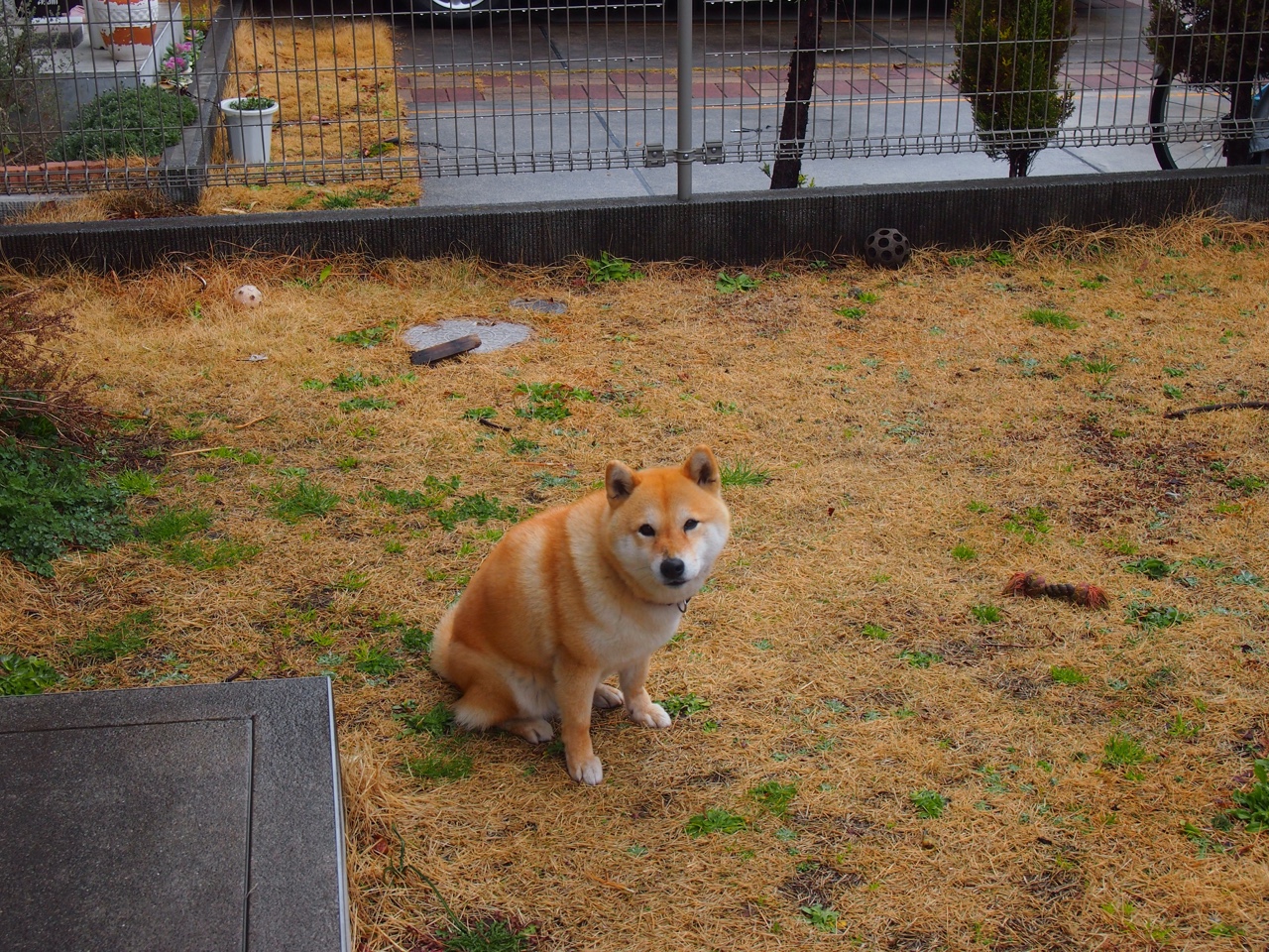 爱游戏2026-三分天下的鏖战，韩国风暴如何一寸寸撕碎印尼长城