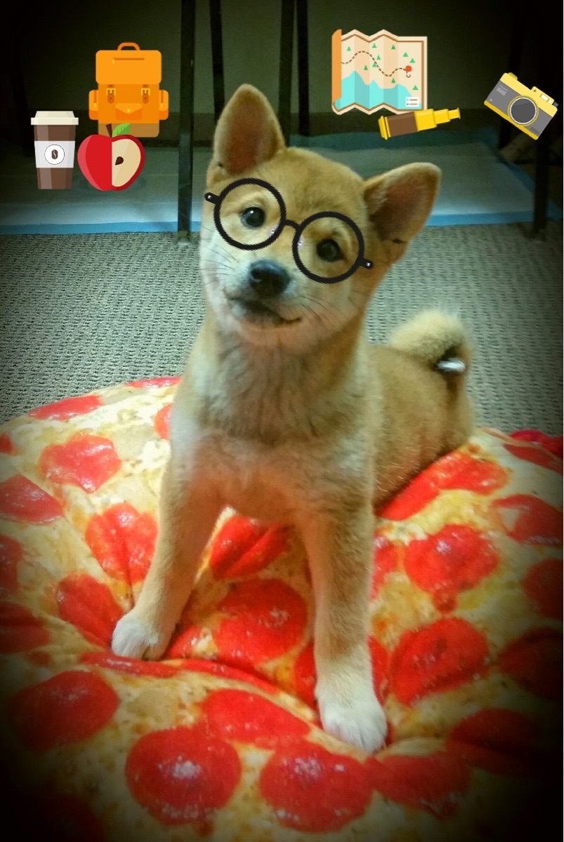 美网轻取拉沃尔杯封神，纳达尔以唯一的方式，重燃网坛灵魂火焰