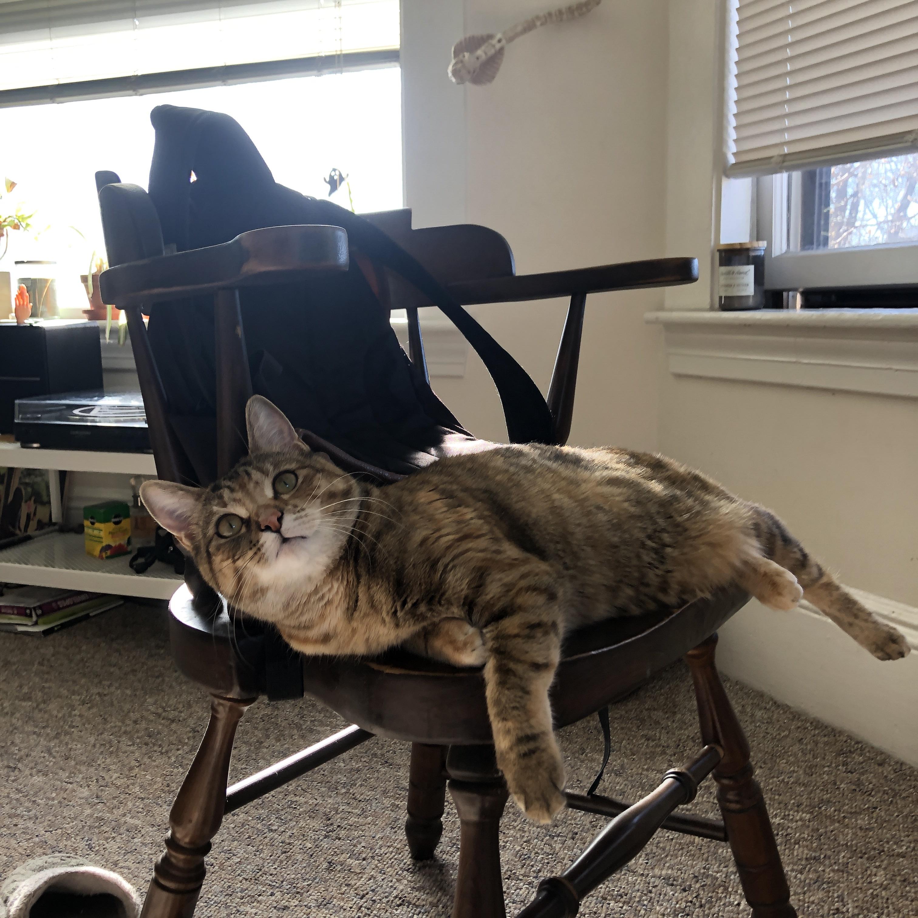 旧神凋零与新王暴烈，英格兰风暴与莫德里奇的黄昏协奏