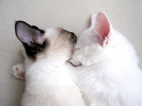 唯一一剑，改写历史，门迪压哨绝杀，曼城惊险打穿智利铜墙