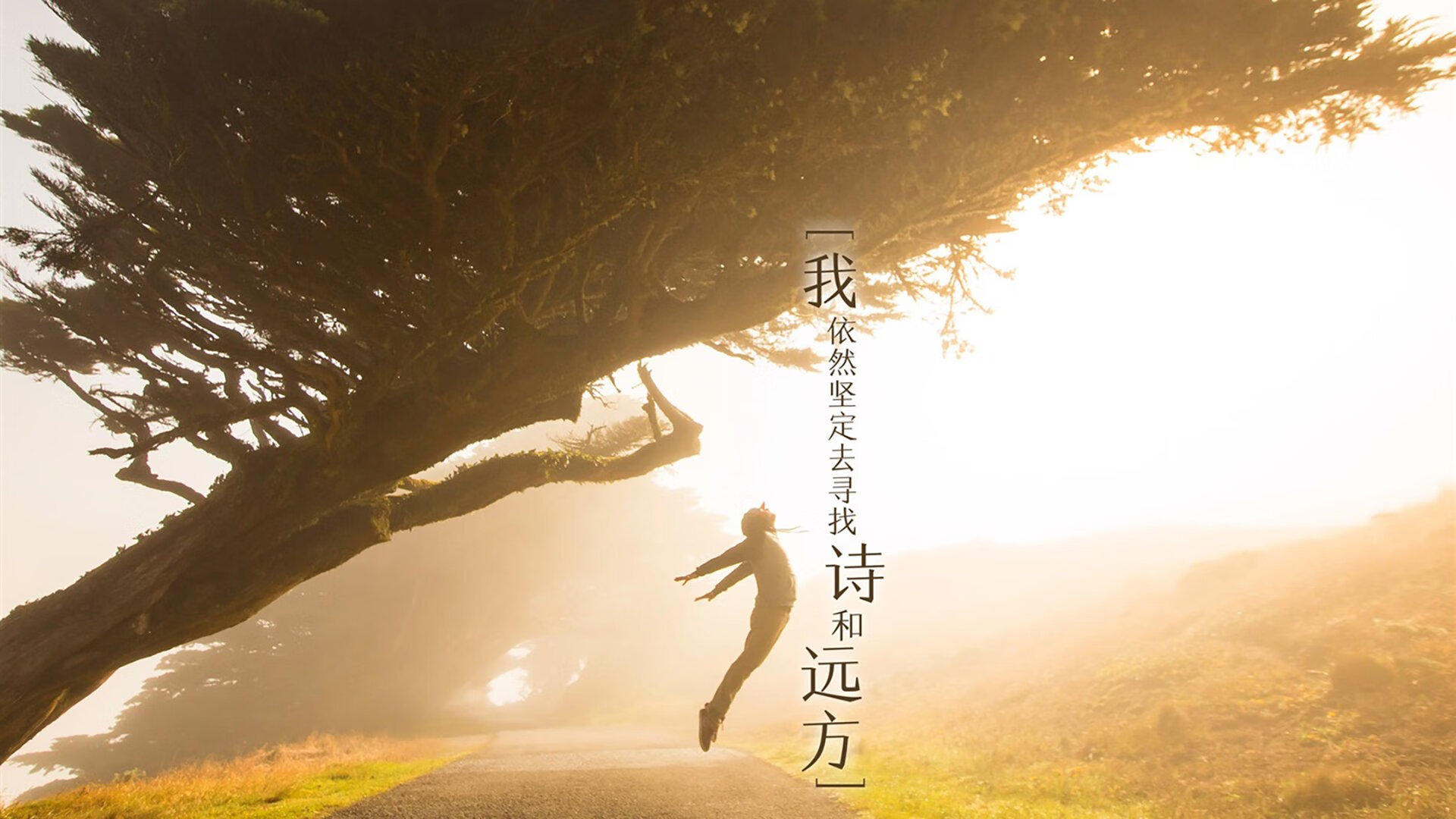 哈利伯顿快船奇景，当NBA未来之星在友谊赛中爆发