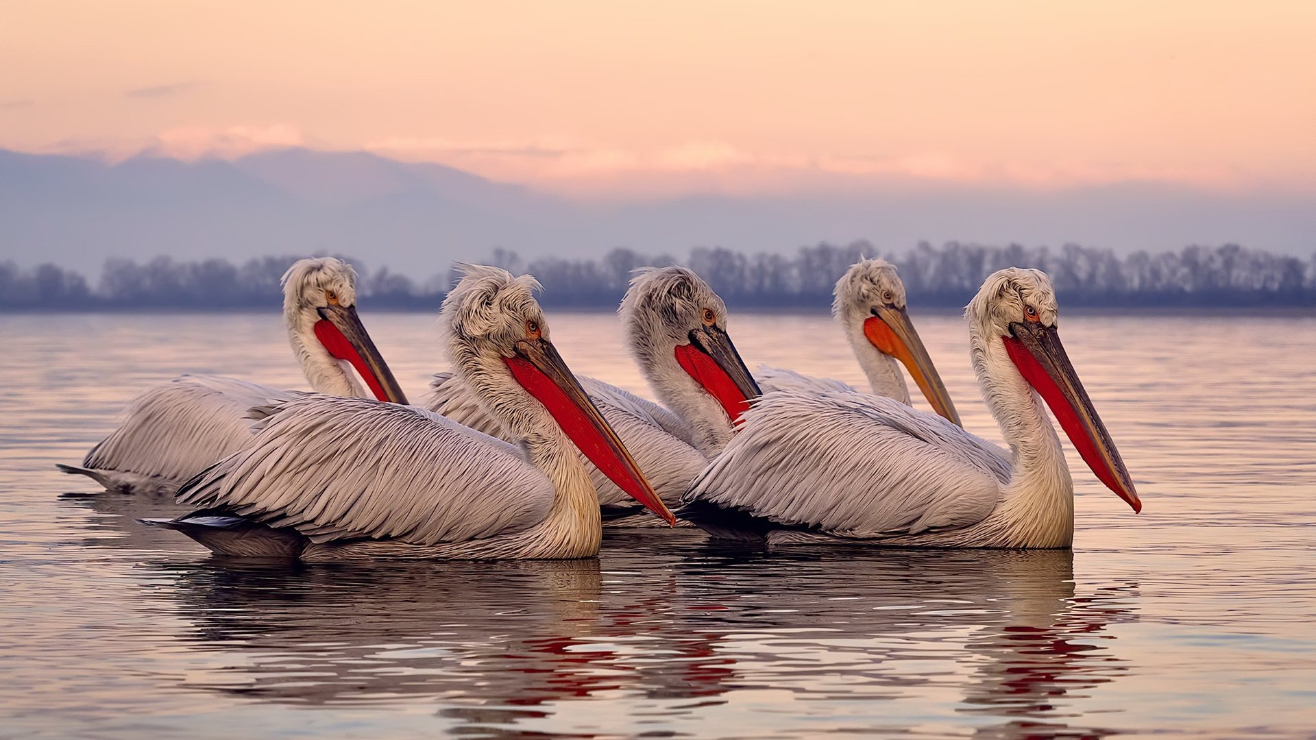 铁锤砸碎高原神话,迪亚斯死亡三连击强行终结玻利维亚悬念
