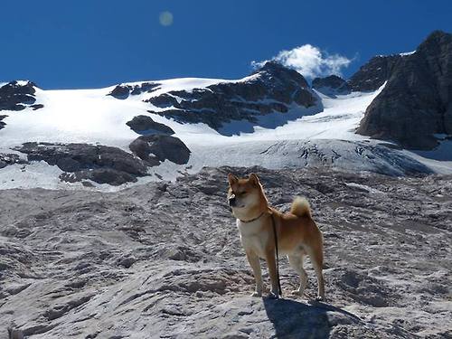 CBA字母哥狂轰历史级三双，山西掀翻上海诠释何为全能战士