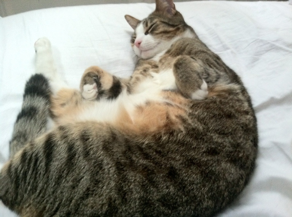 大心脏之夜，布伦森如何在京厦生死战中诠释大场面先生