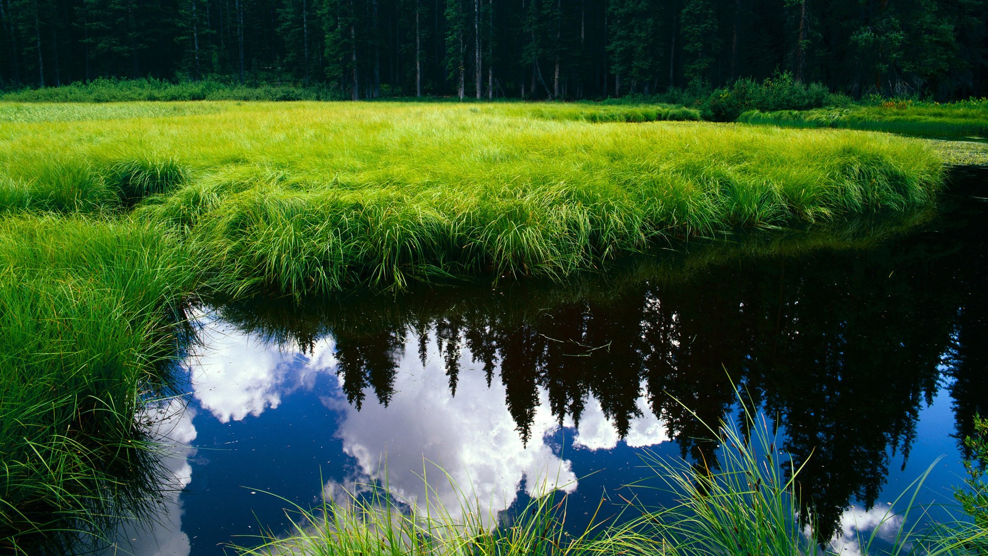 37+15+8断！当进攻艺术撞上防守铁壁，拉梅洛重塑控卫定义