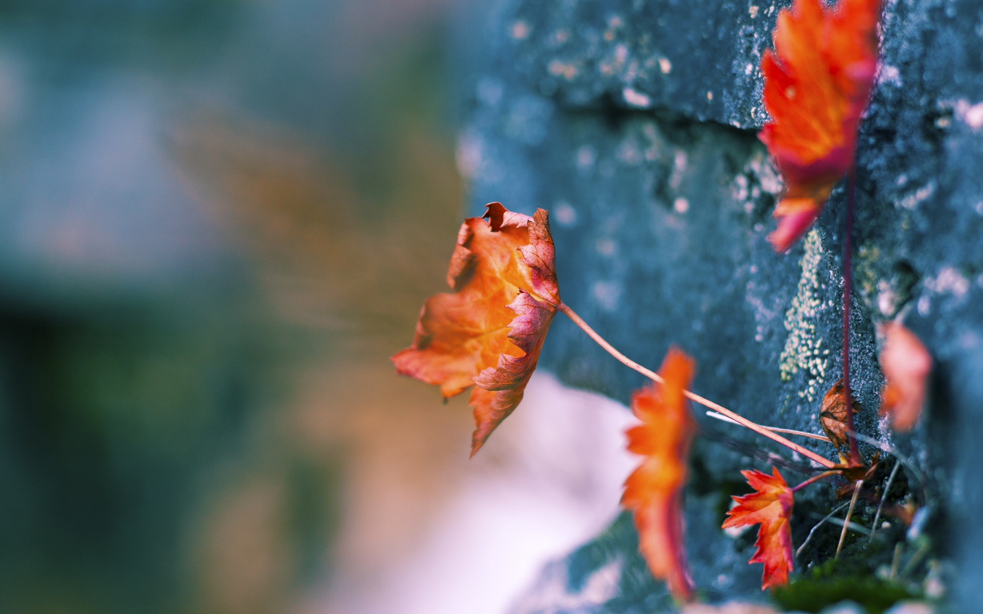 窒息铁链锁死巴黎！深度解析罗马如何用三秒宣判战术死刑