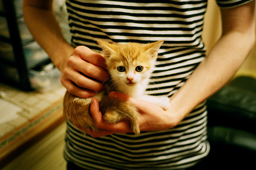 关键先生vs全民皆兵，浓眉一剑封喉背后的篮球哲学