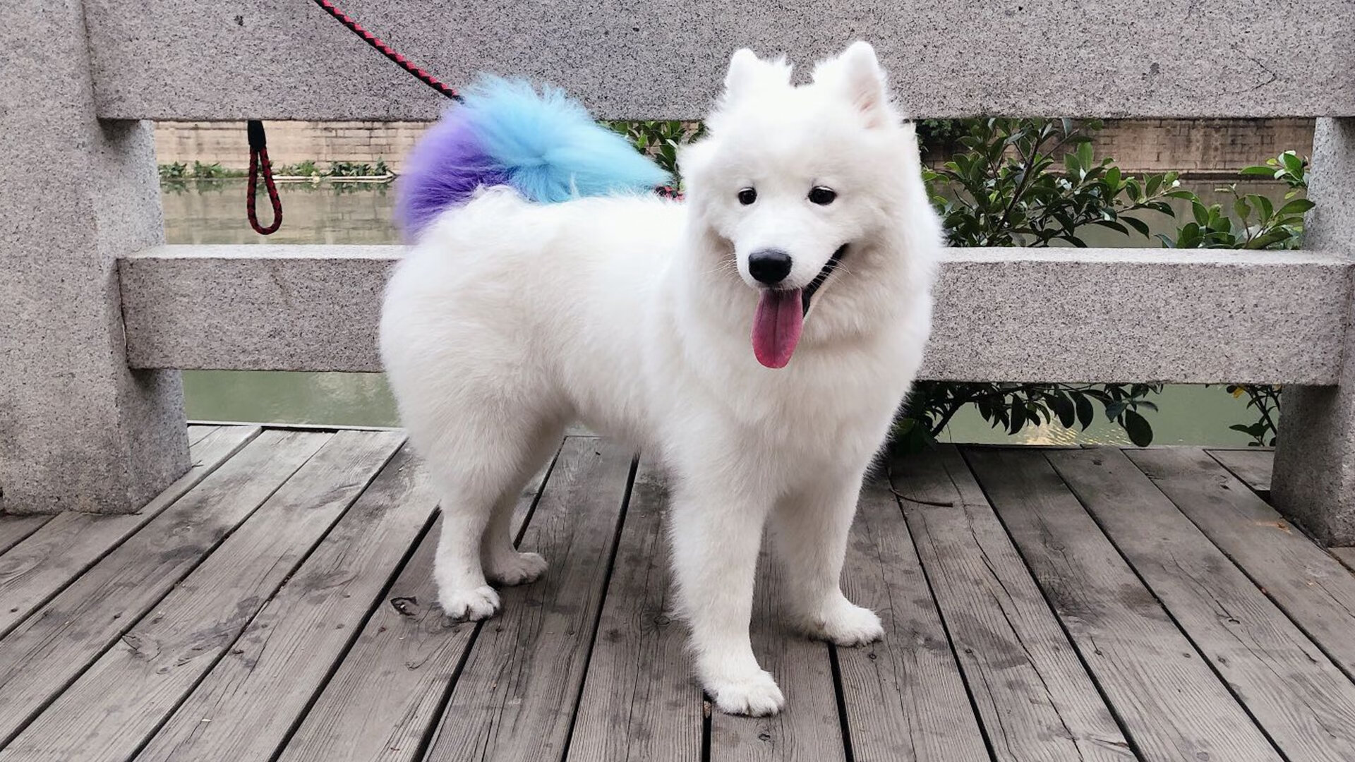 F1新赛季揭幕战之夜，恩佐的关键节点连续得分照亮巴林赛道