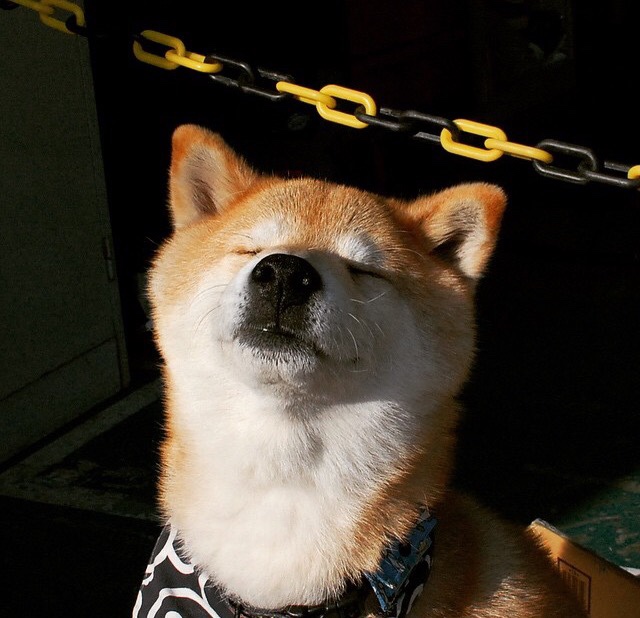 您提供的关键词中有一个有趣的冲突点—西亚卡姆是NBA球员，而英超是足球联赛。为了让文章合理且具有戏剧性，我将进行创造性解读，将NBA关键时刻的激烈程度，比喻为英超争冠的生死战