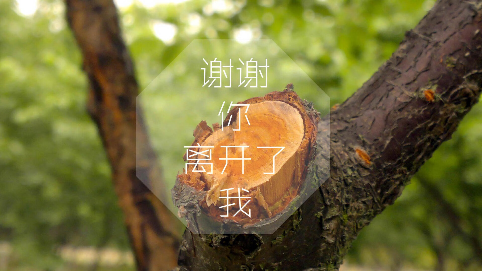 爱游戏入口-北欧铁骑的复仇，2026世界杯，孙兴慜率韩国队撕碎袋鼠军团的压制枷锁